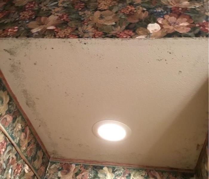 Ceiling with wallpaper and mold