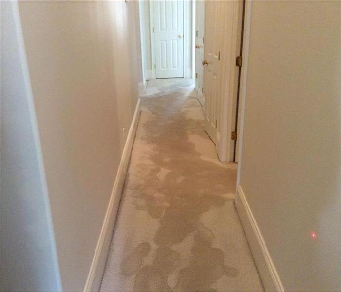water stains on the hallway brown carpet