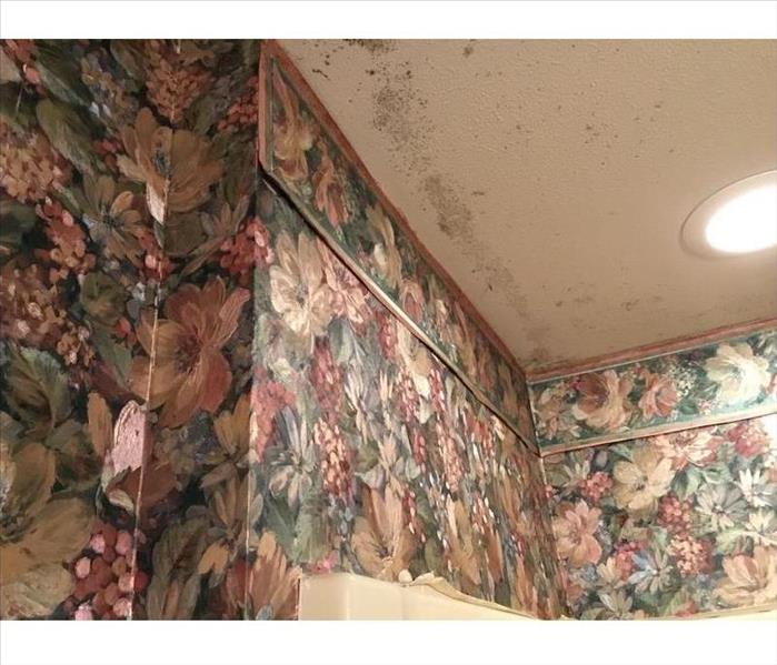 Bathroom ceiling with evidence of mold damage