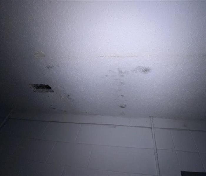 Dark mold spots on a residential ceiling with visible water damage