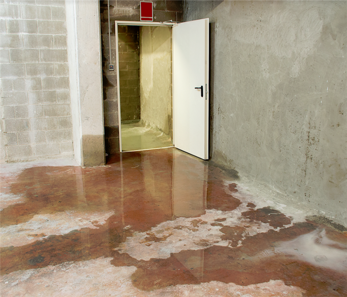 a puddle of water in a basement of a home